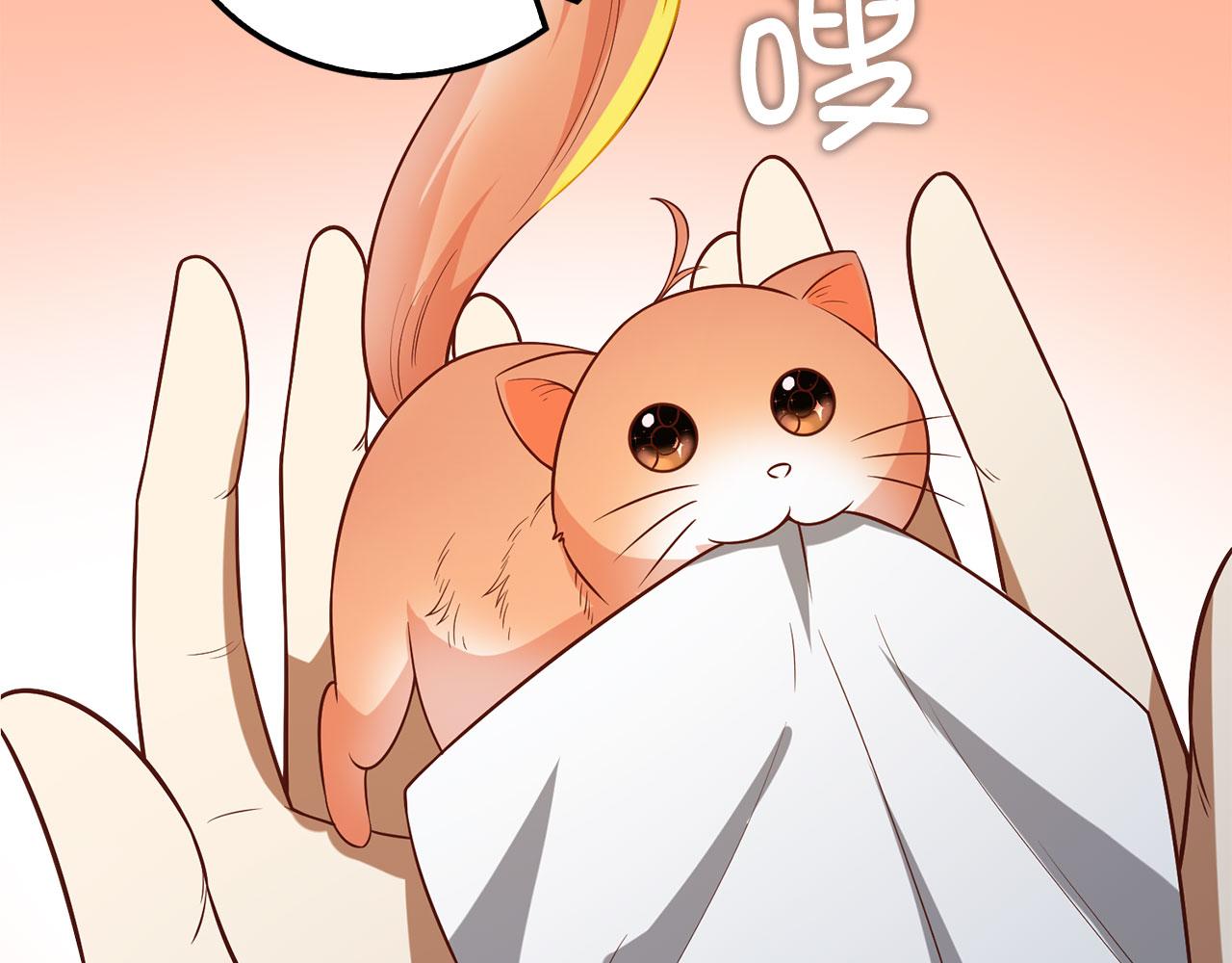 第 237 页