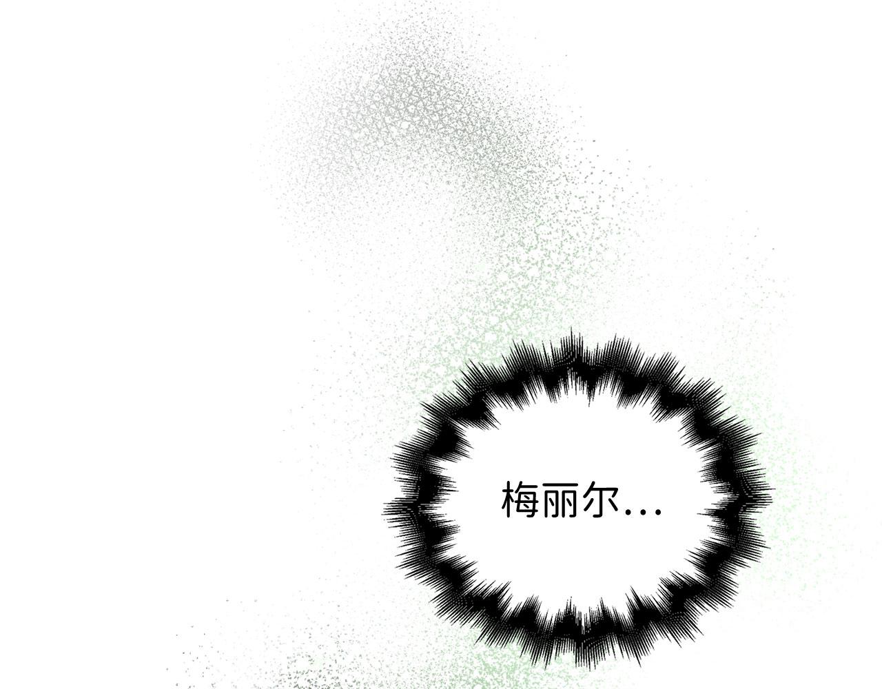 第 213 页