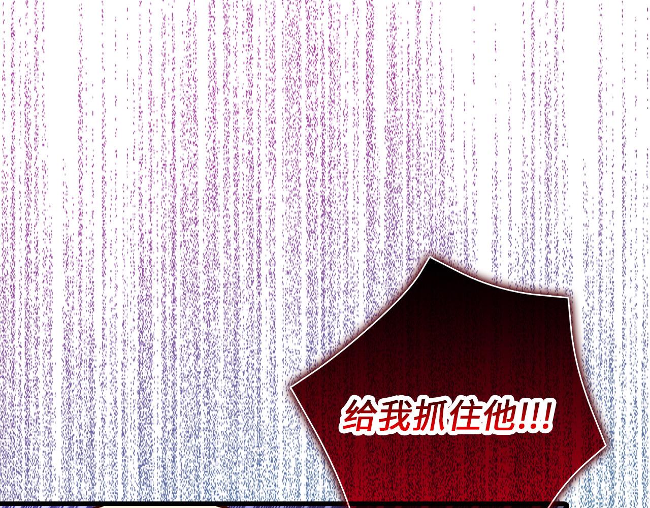 第 202 页
