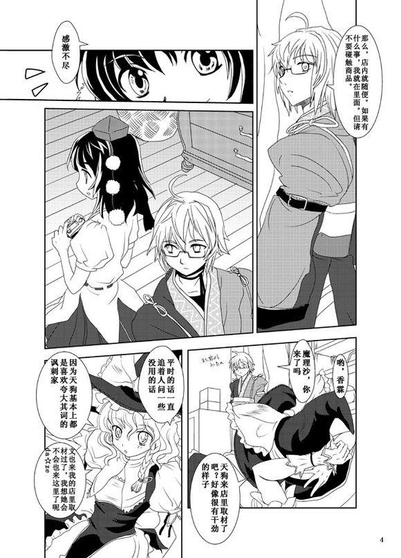 第 3 页
