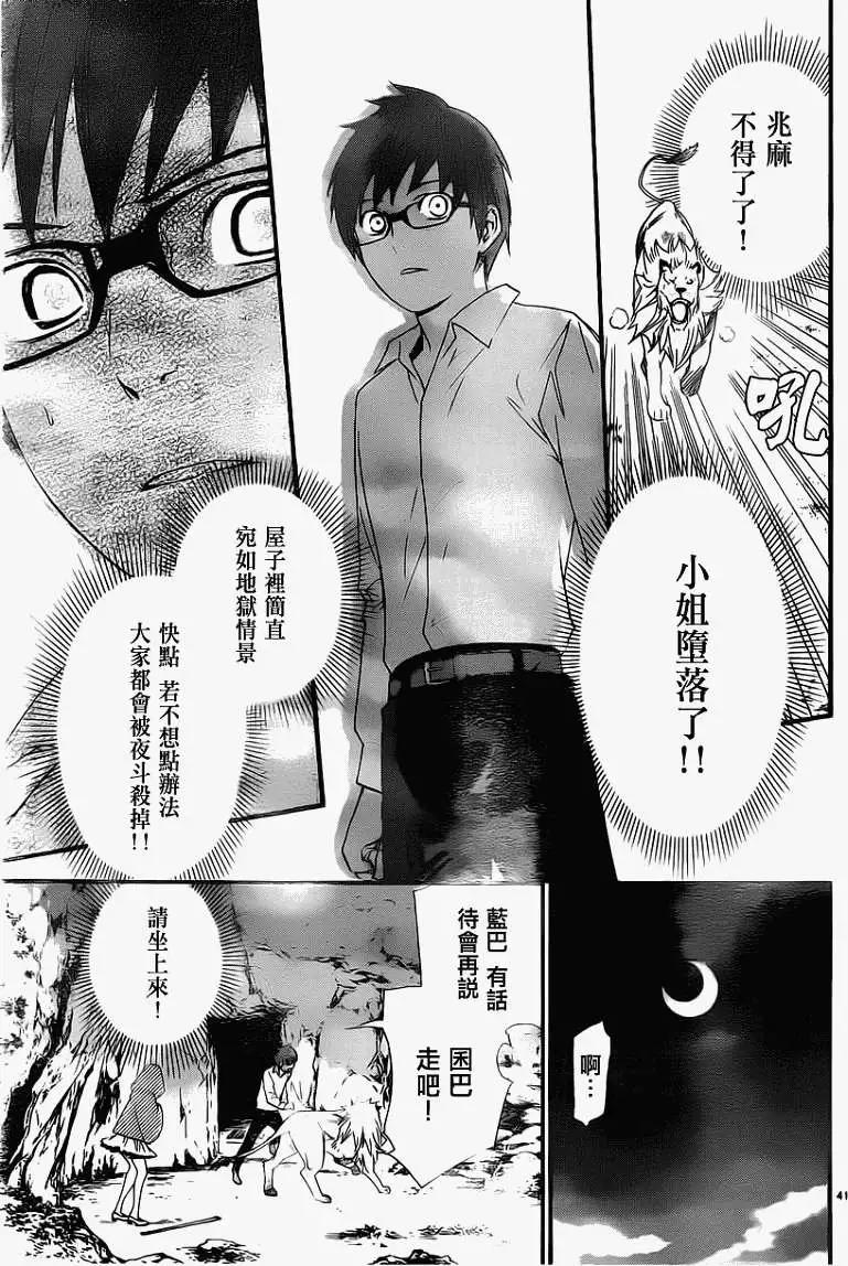 第 41 页