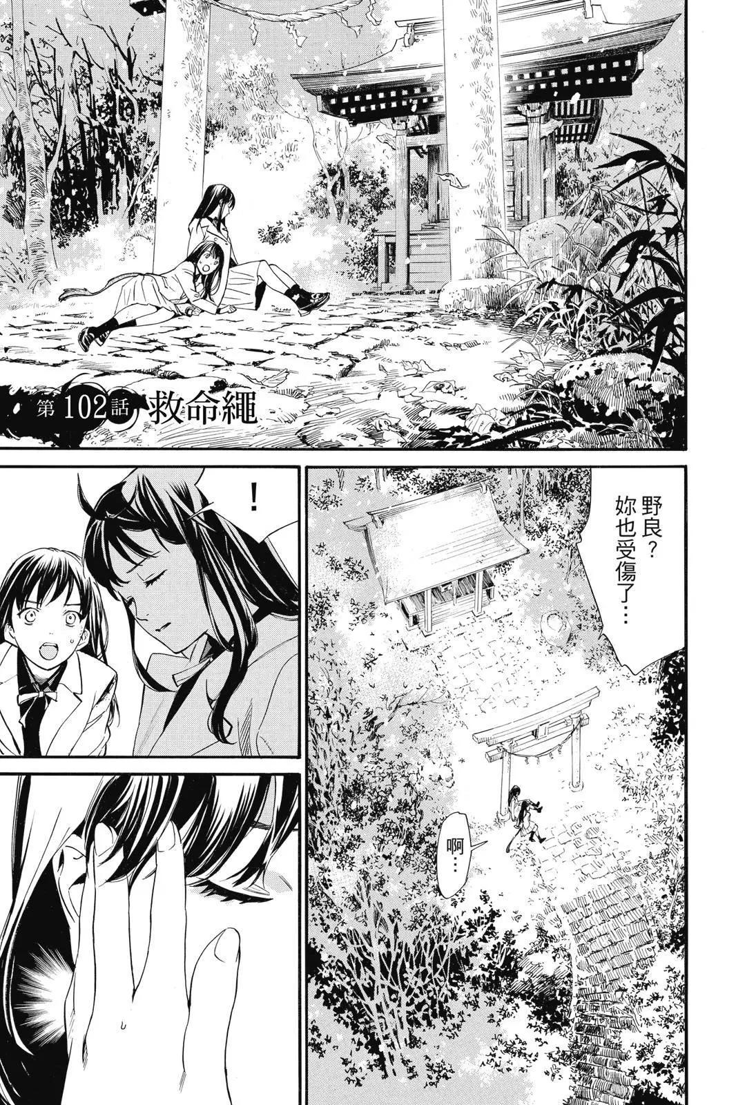 第 101 页