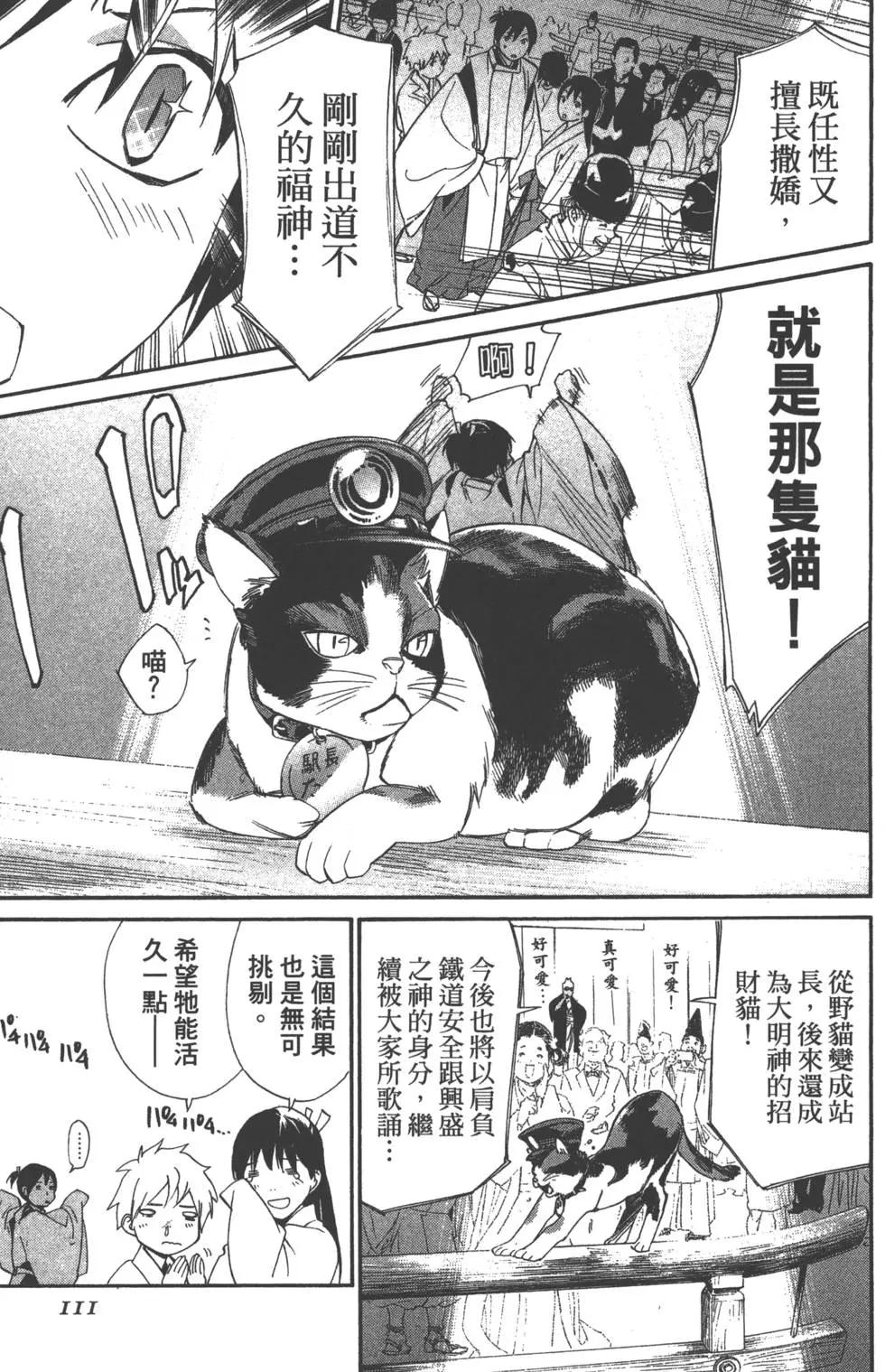 第 110 页