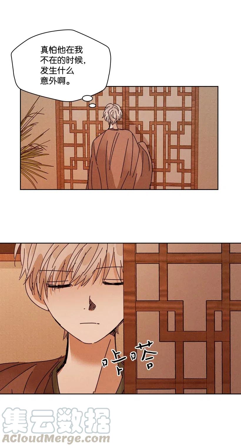 第 41 页