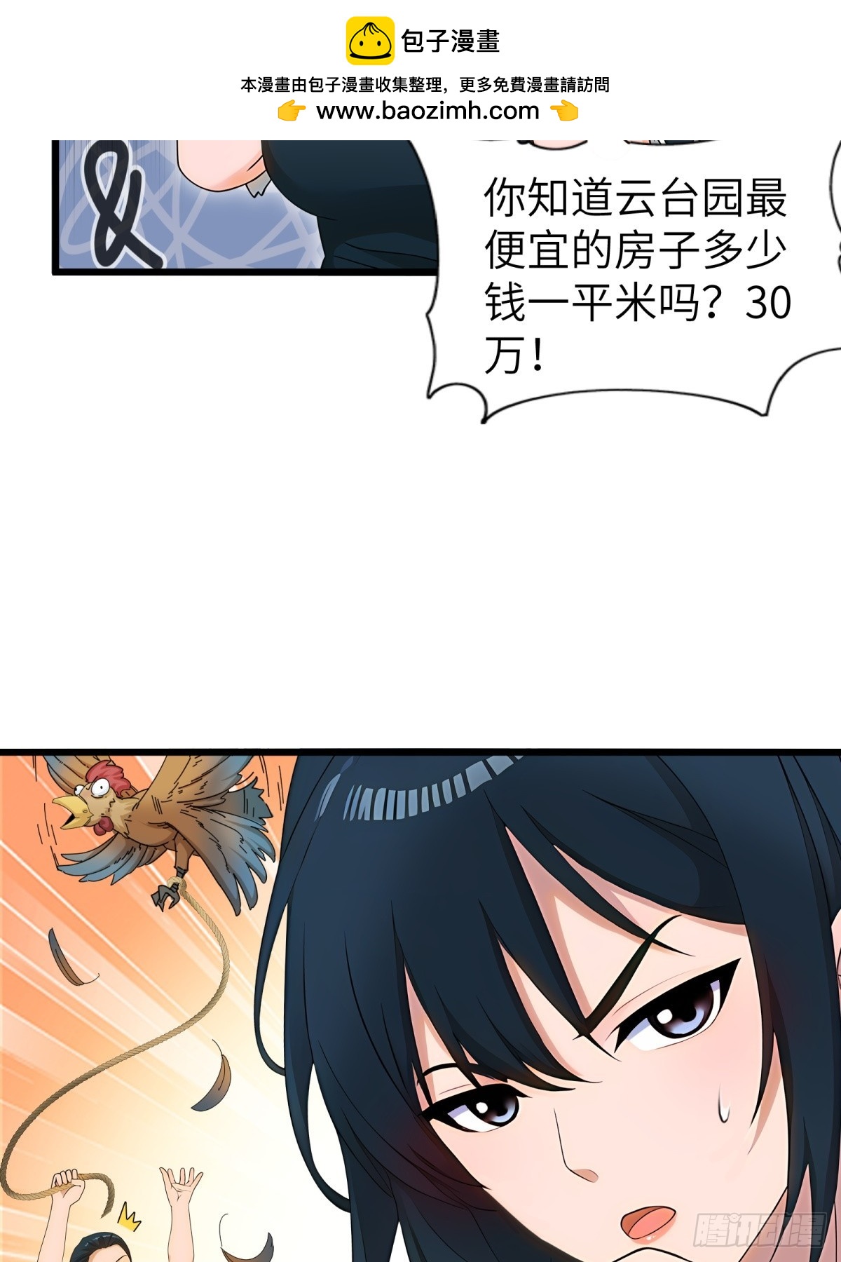 第 30 页