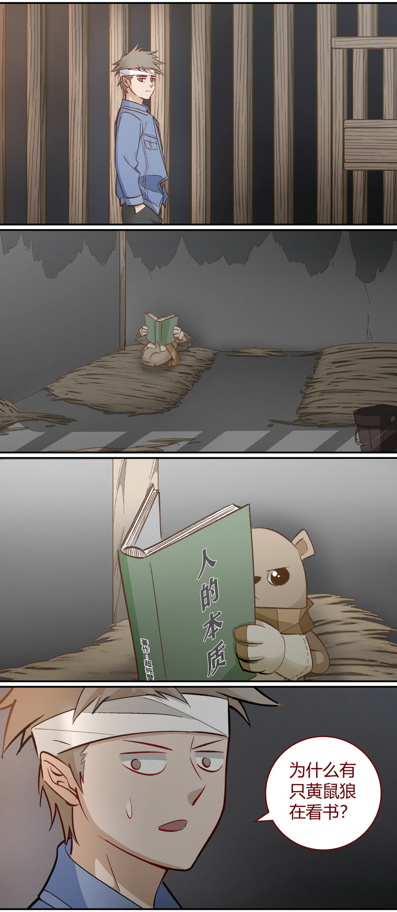 第 11 页