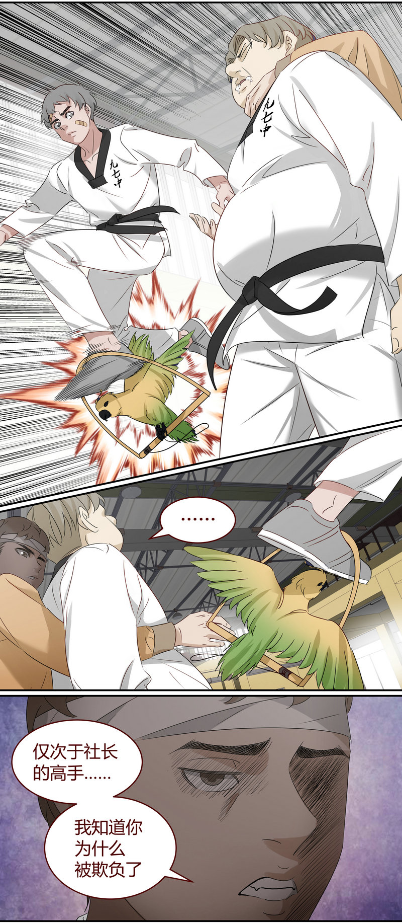 第 6 页