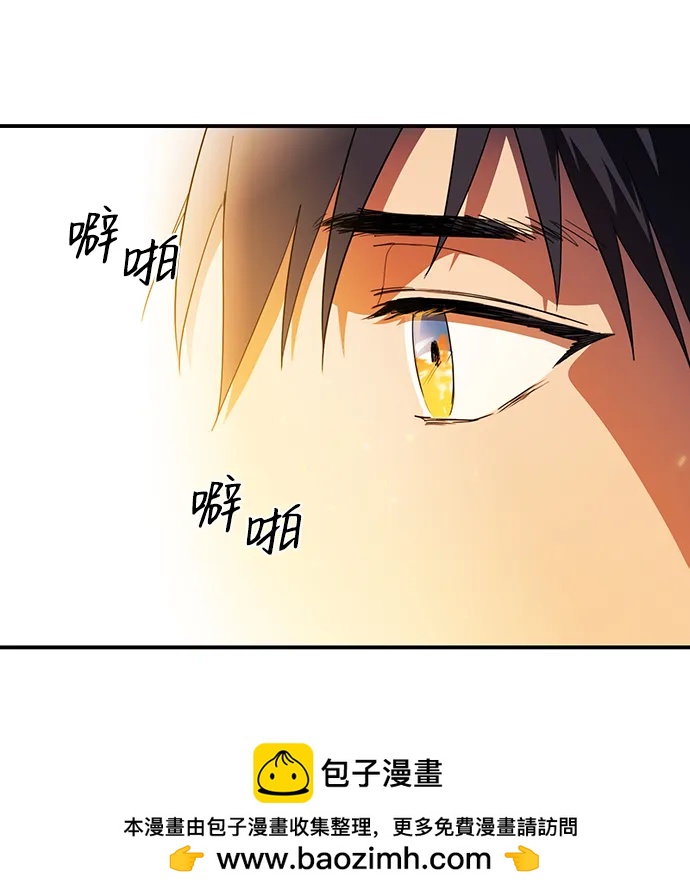 第 100 页
