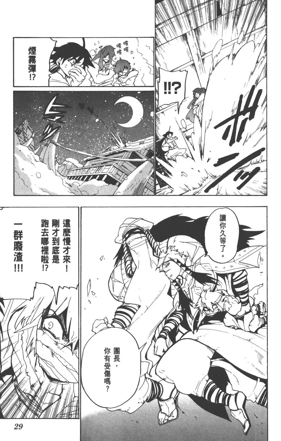 第 30 页