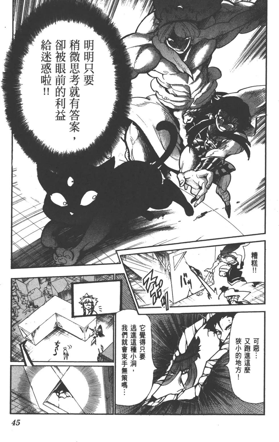 第 46 页