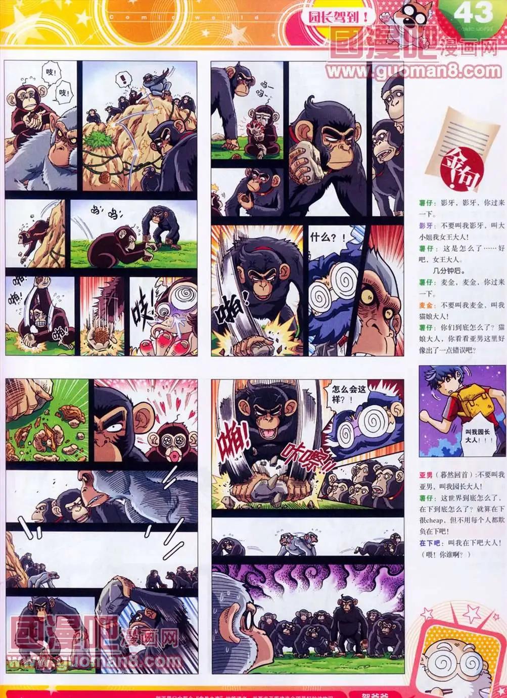 第 45 页