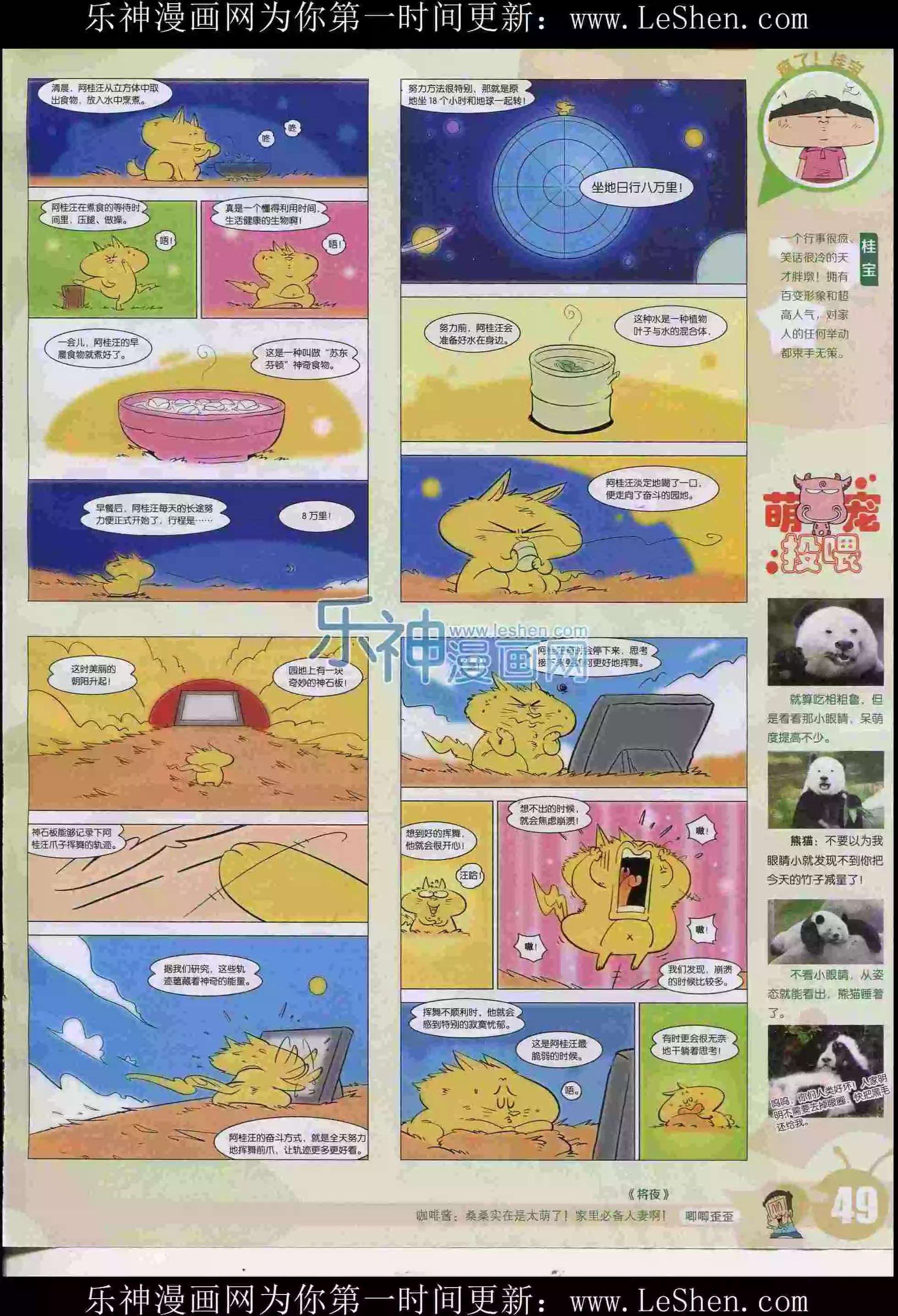 第 51 页