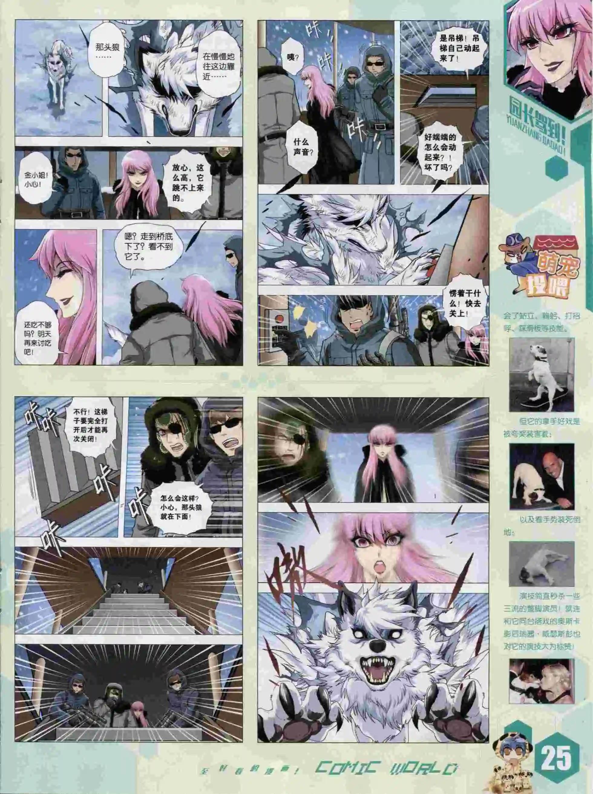 第 27 页