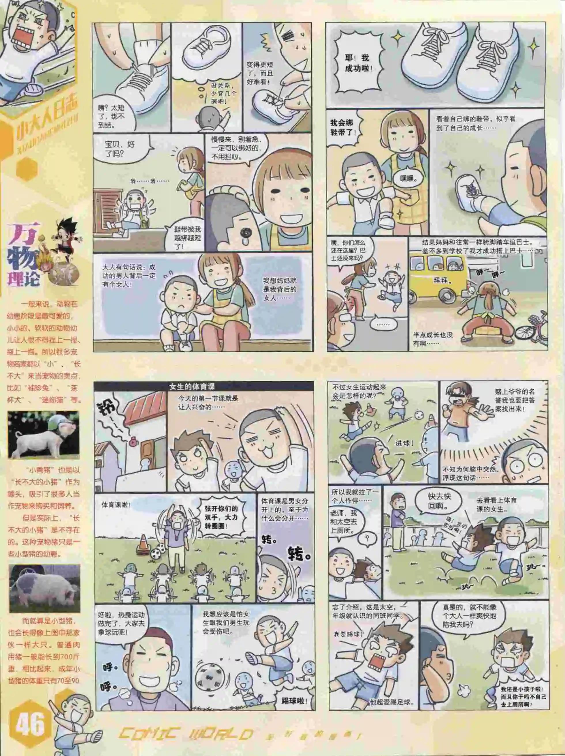 第 48 页