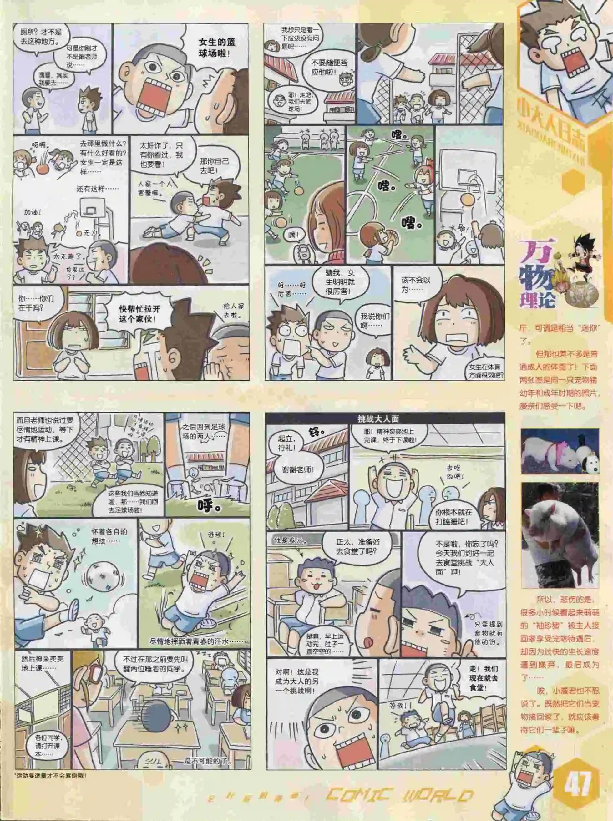 第 49 页