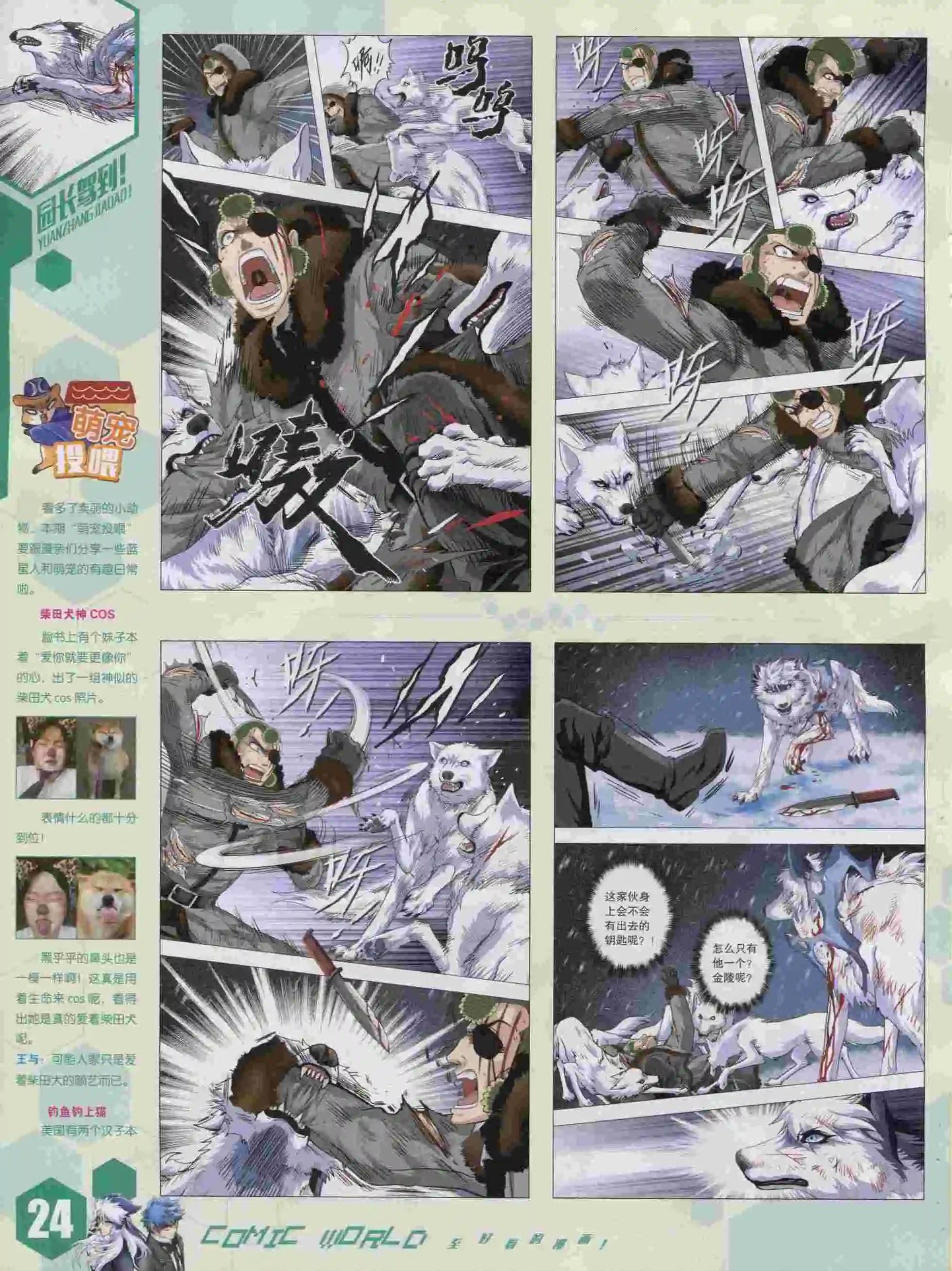 第 26 页