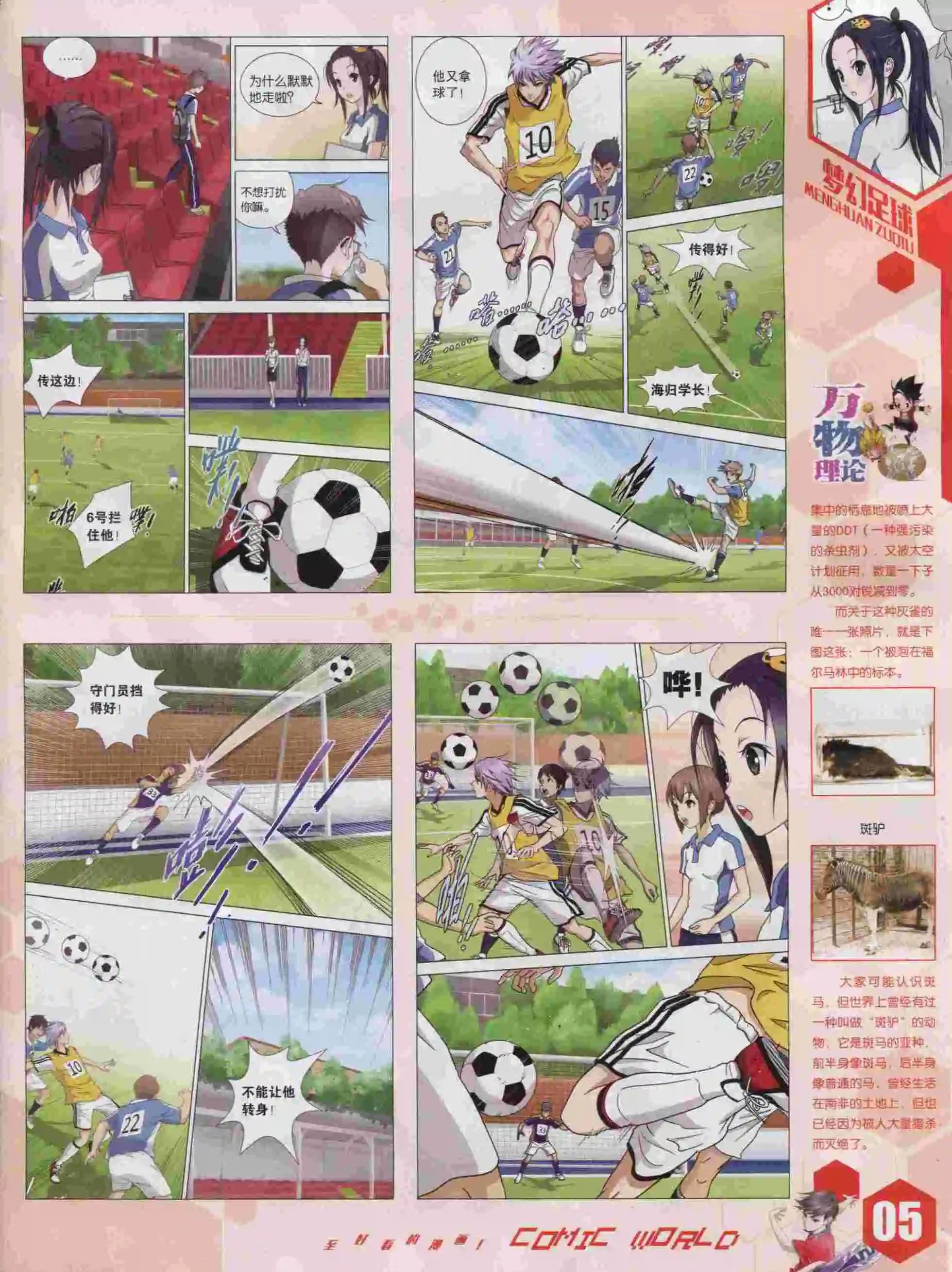 第 7 页