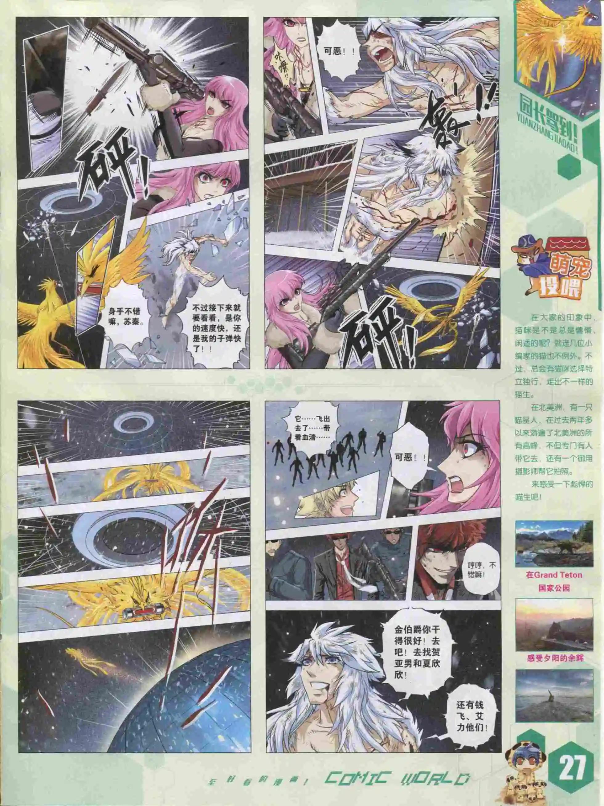 第 29 页