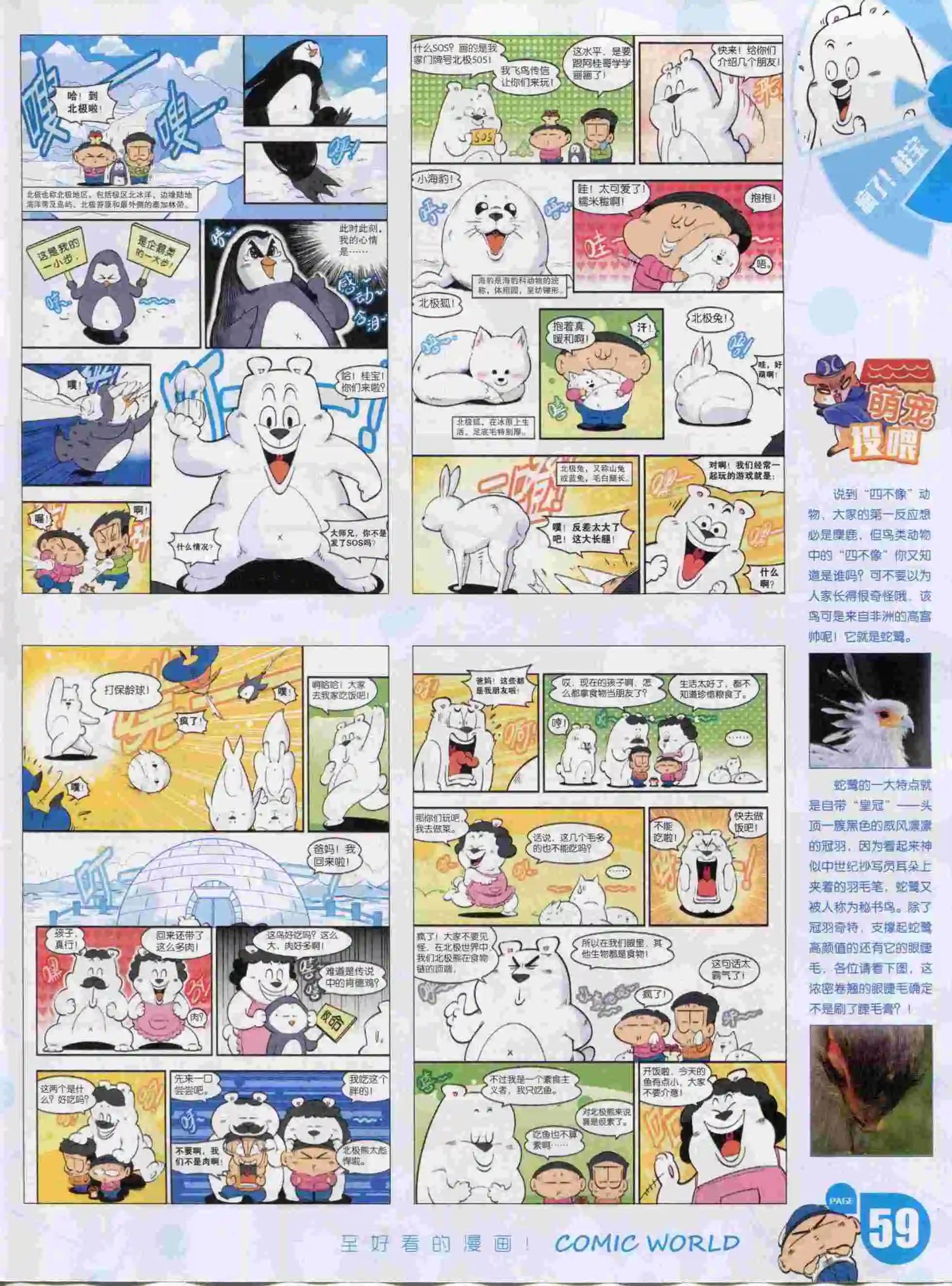 第 61 页