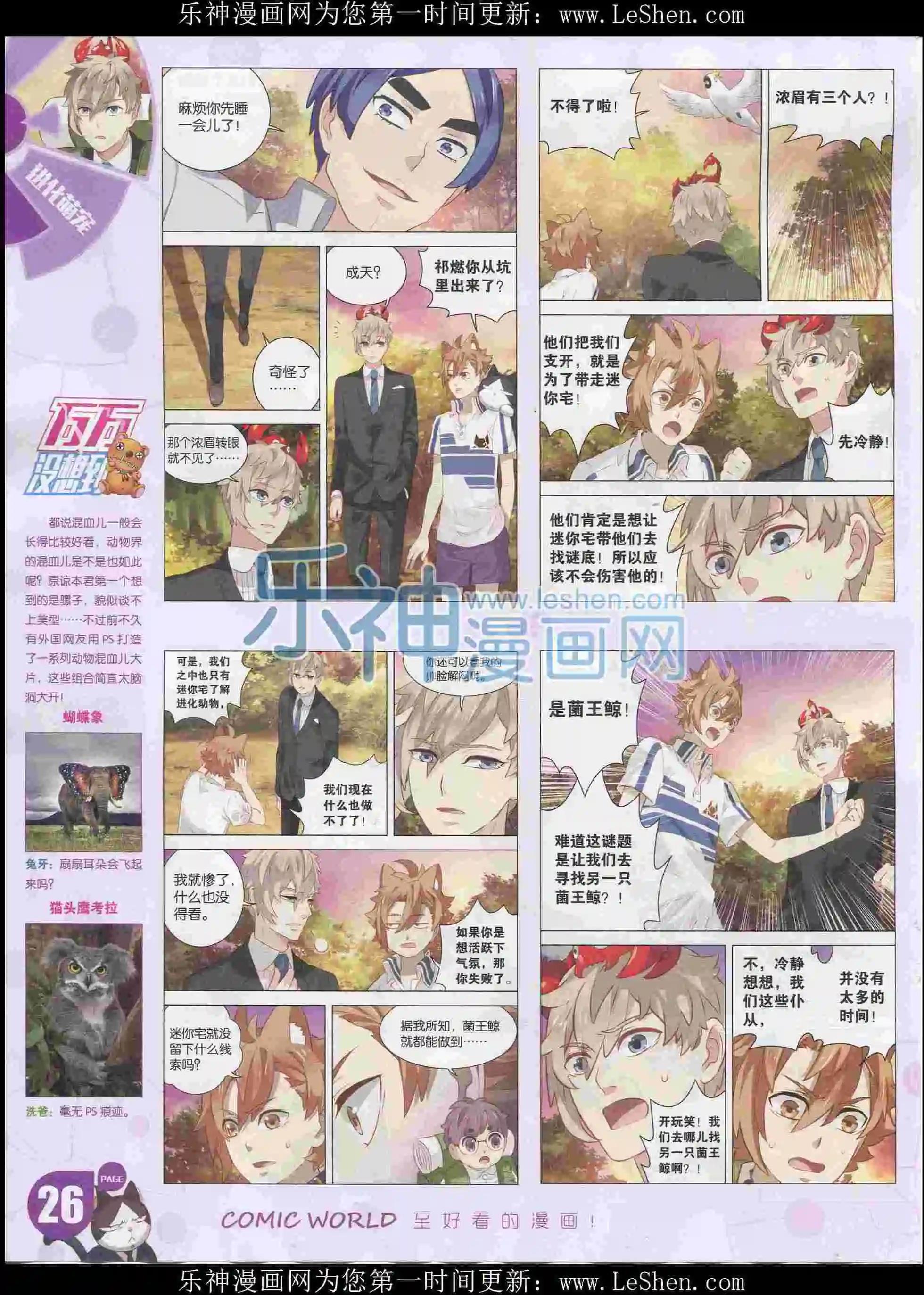 第 28 页