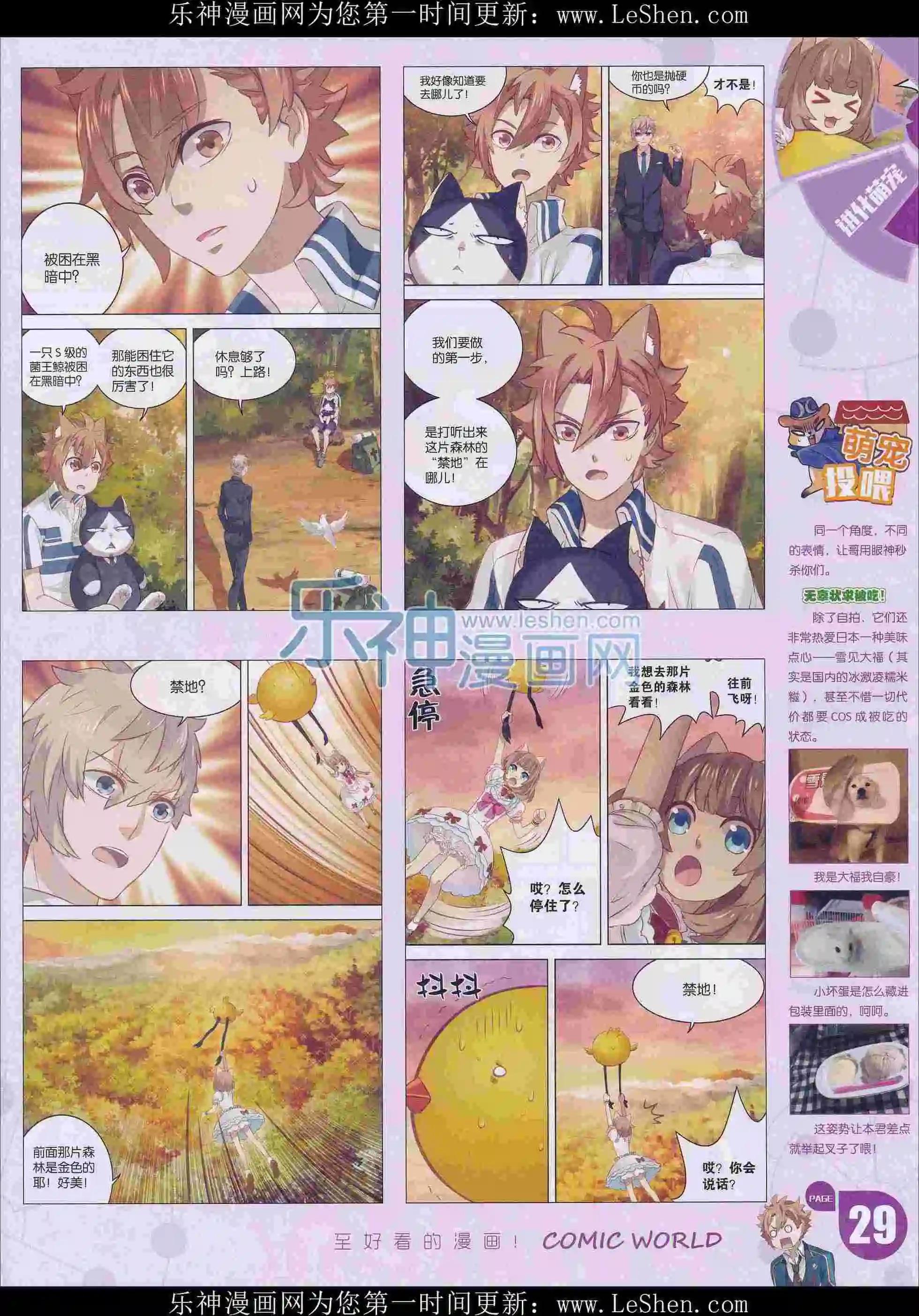第 31 页