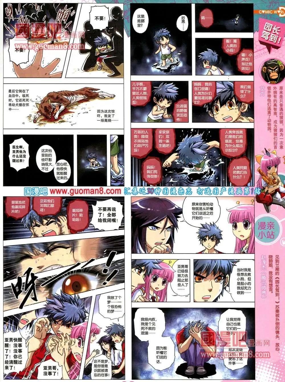 第 41 页