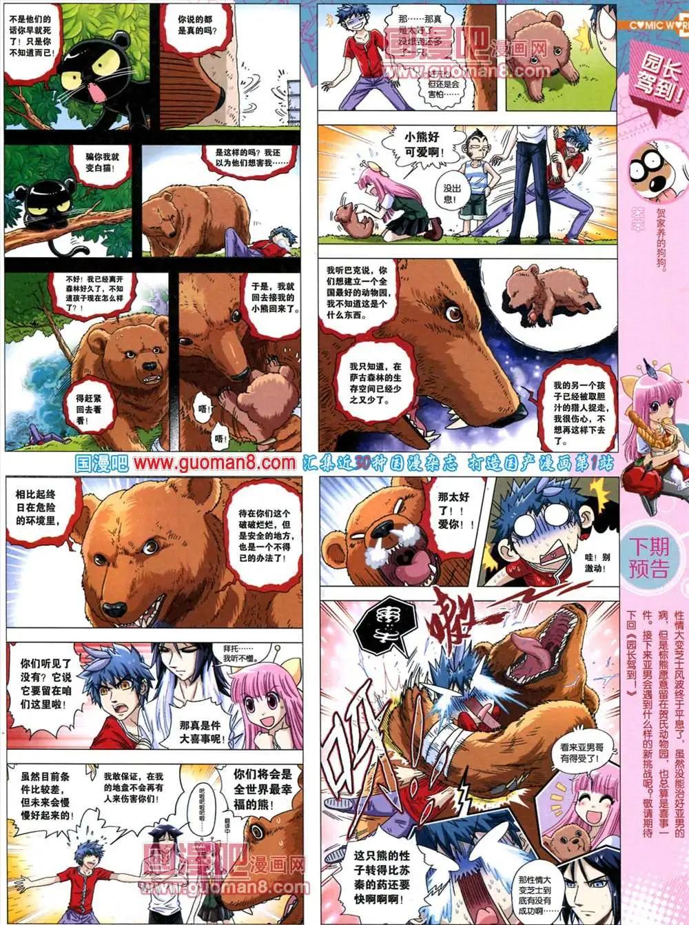 第 41 页