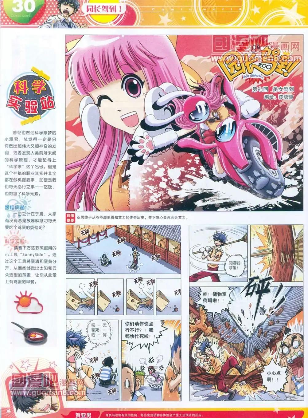 第 31 页