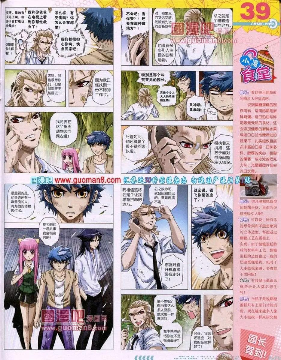 第 41 页