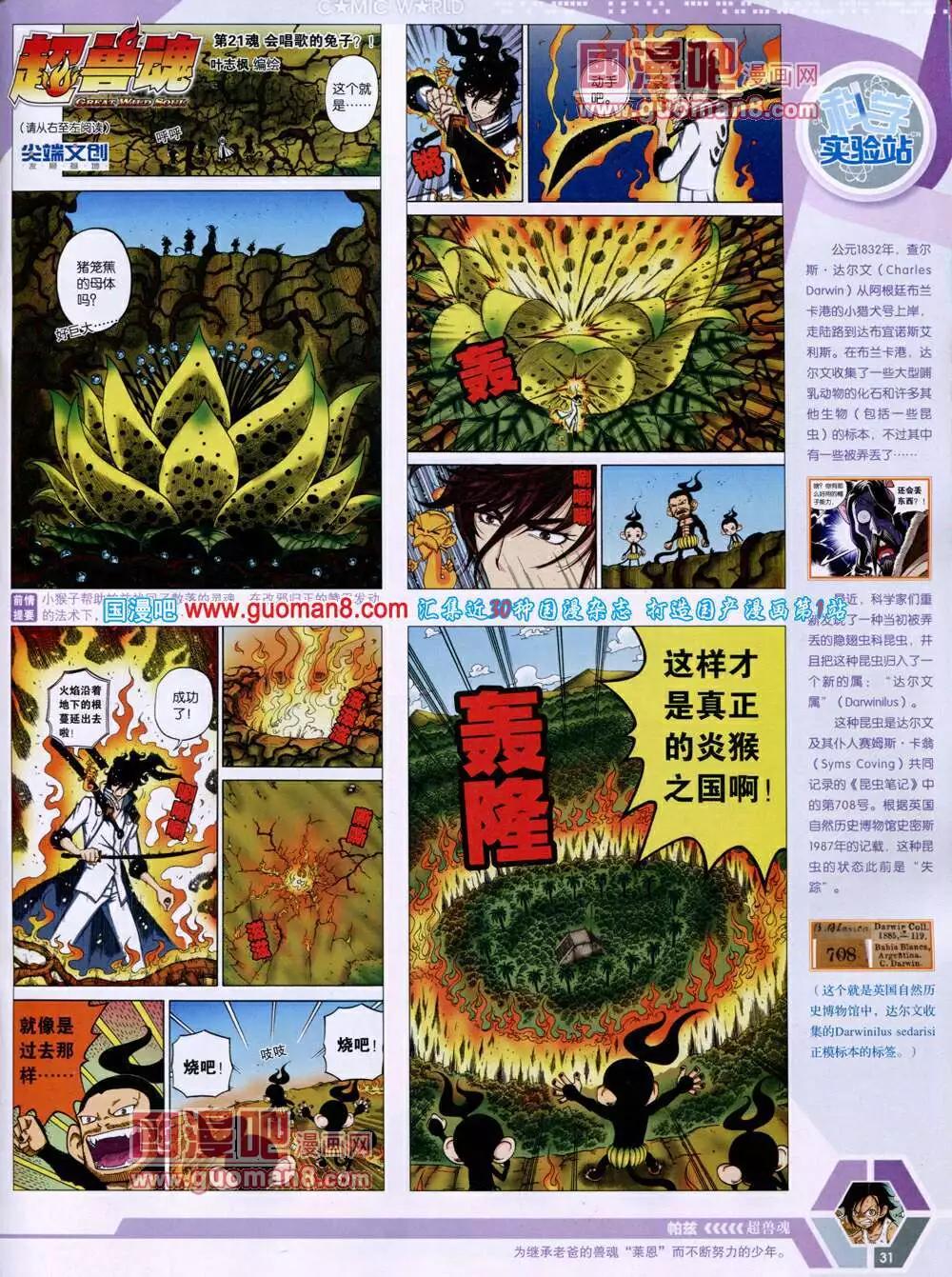 第 33 页