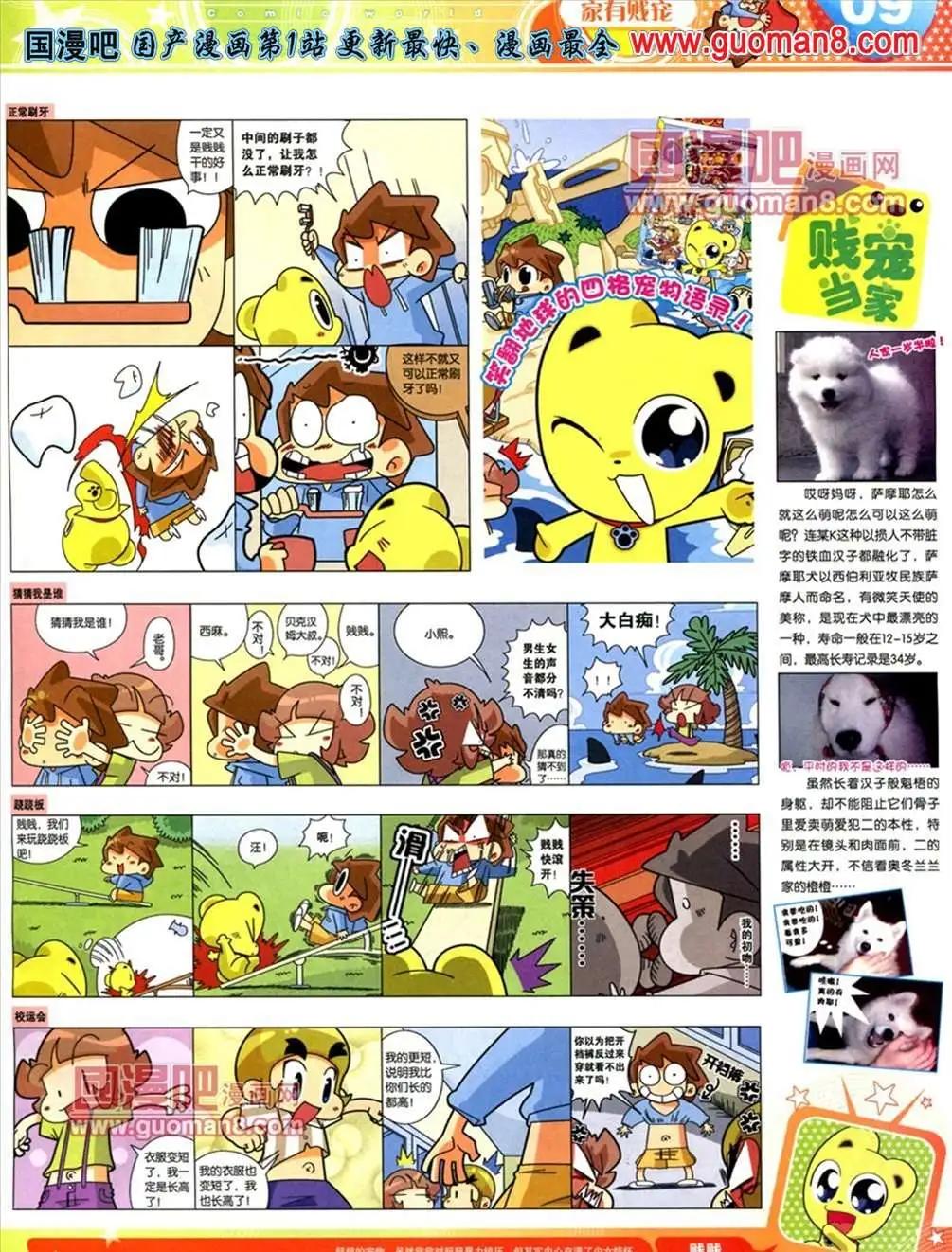 第 11 页