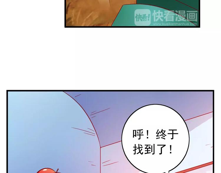 第 41 页