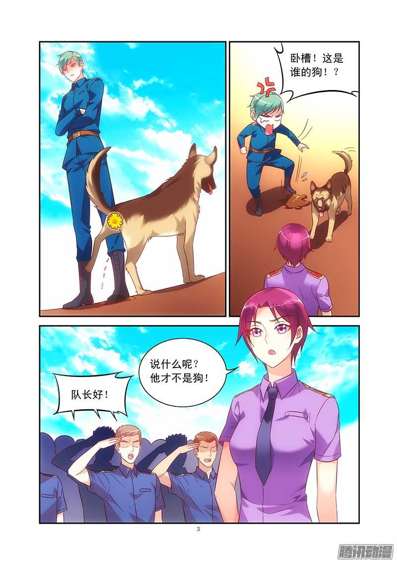 第 3 页