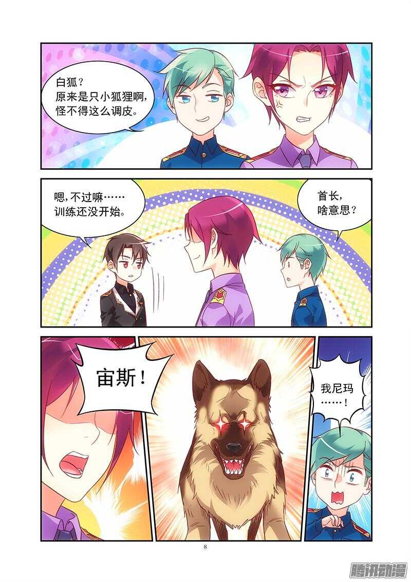 第 8 页