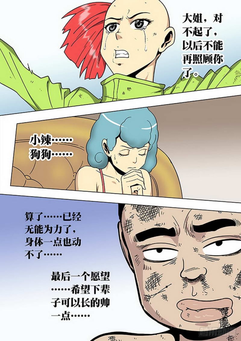 第 7 页
