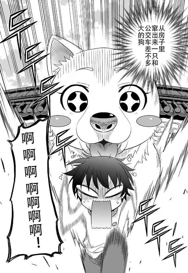 第 20 页