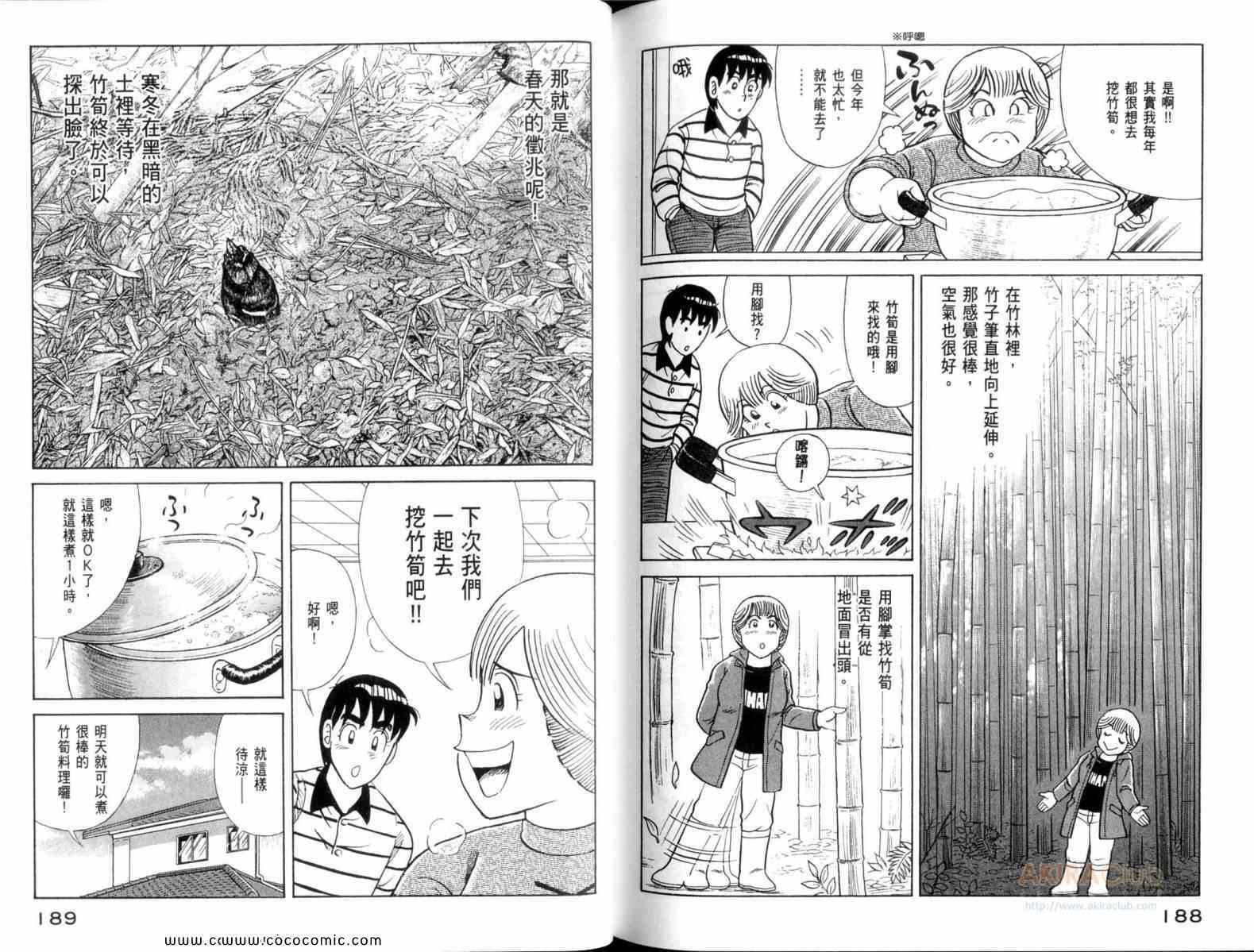 第 96 页