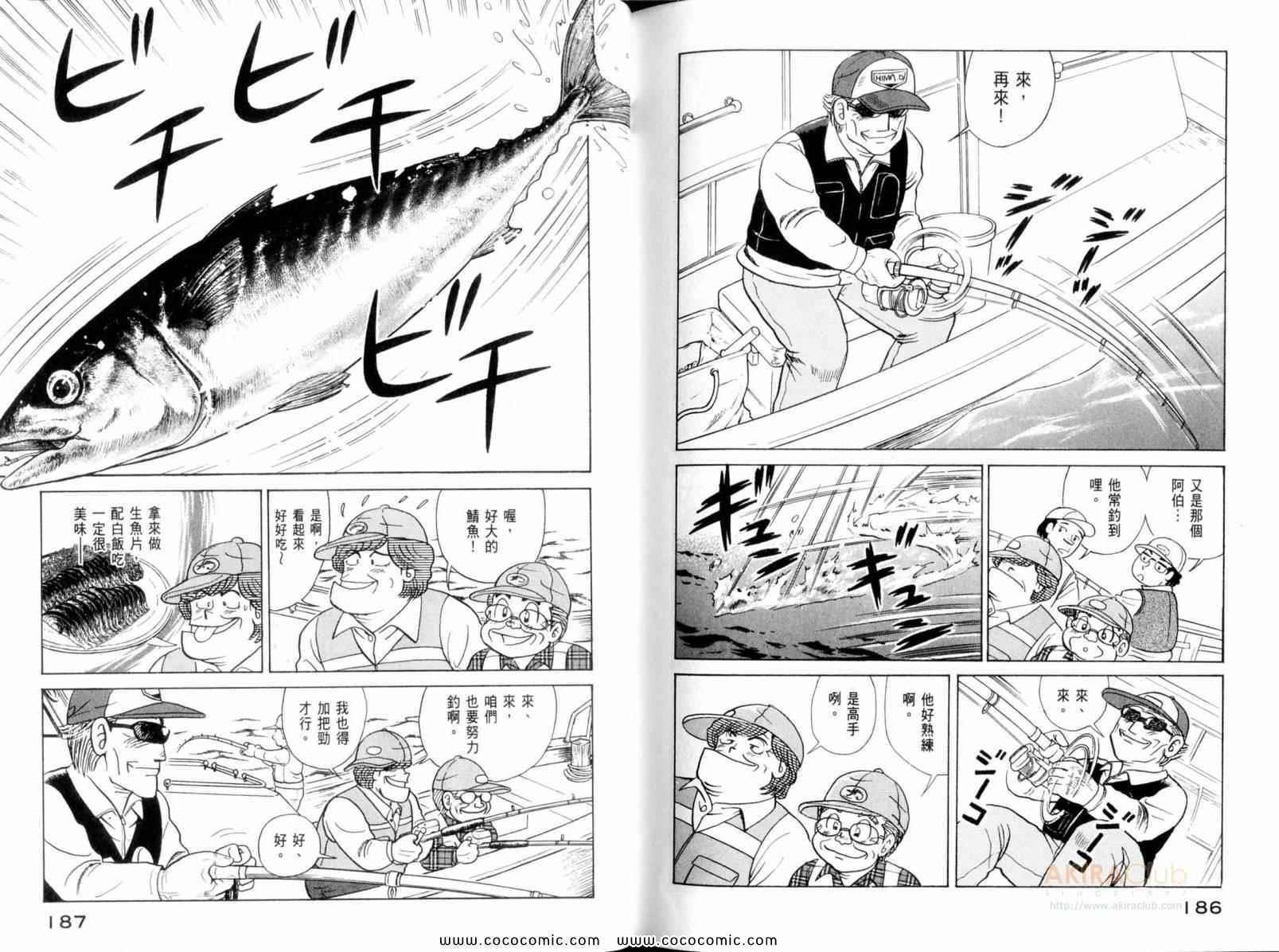 第 95 页