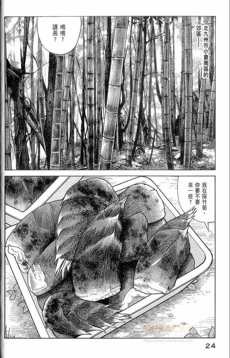 第 25 页