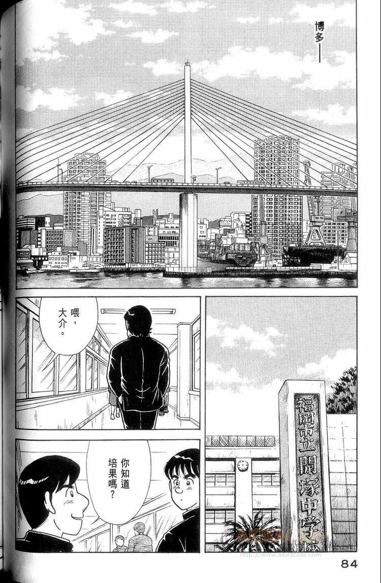 第 85 页