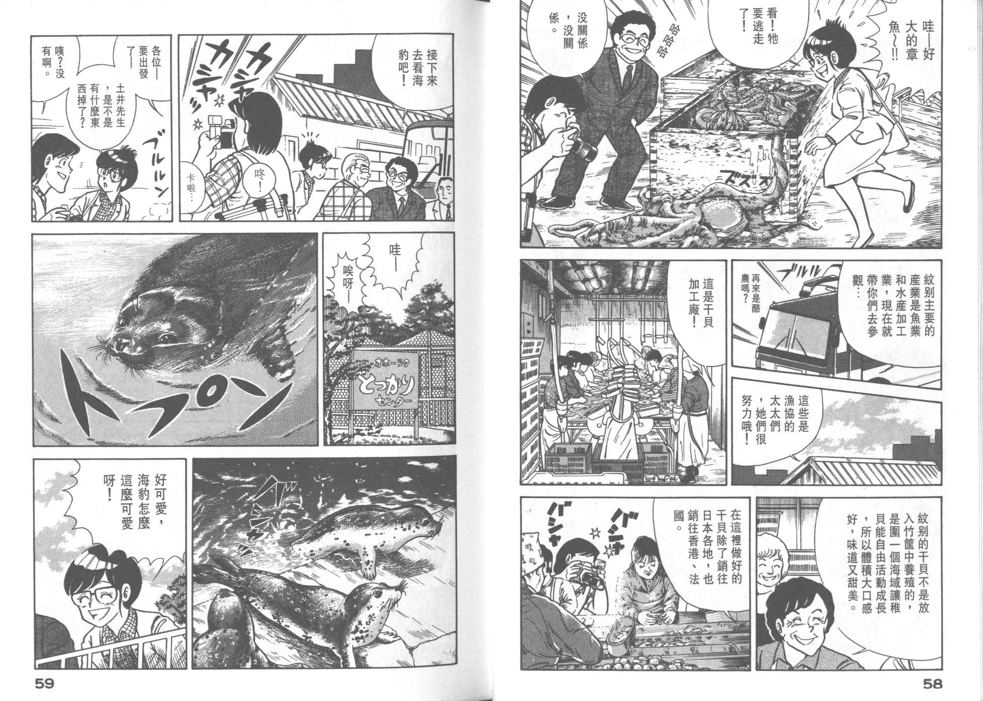 第 31 页