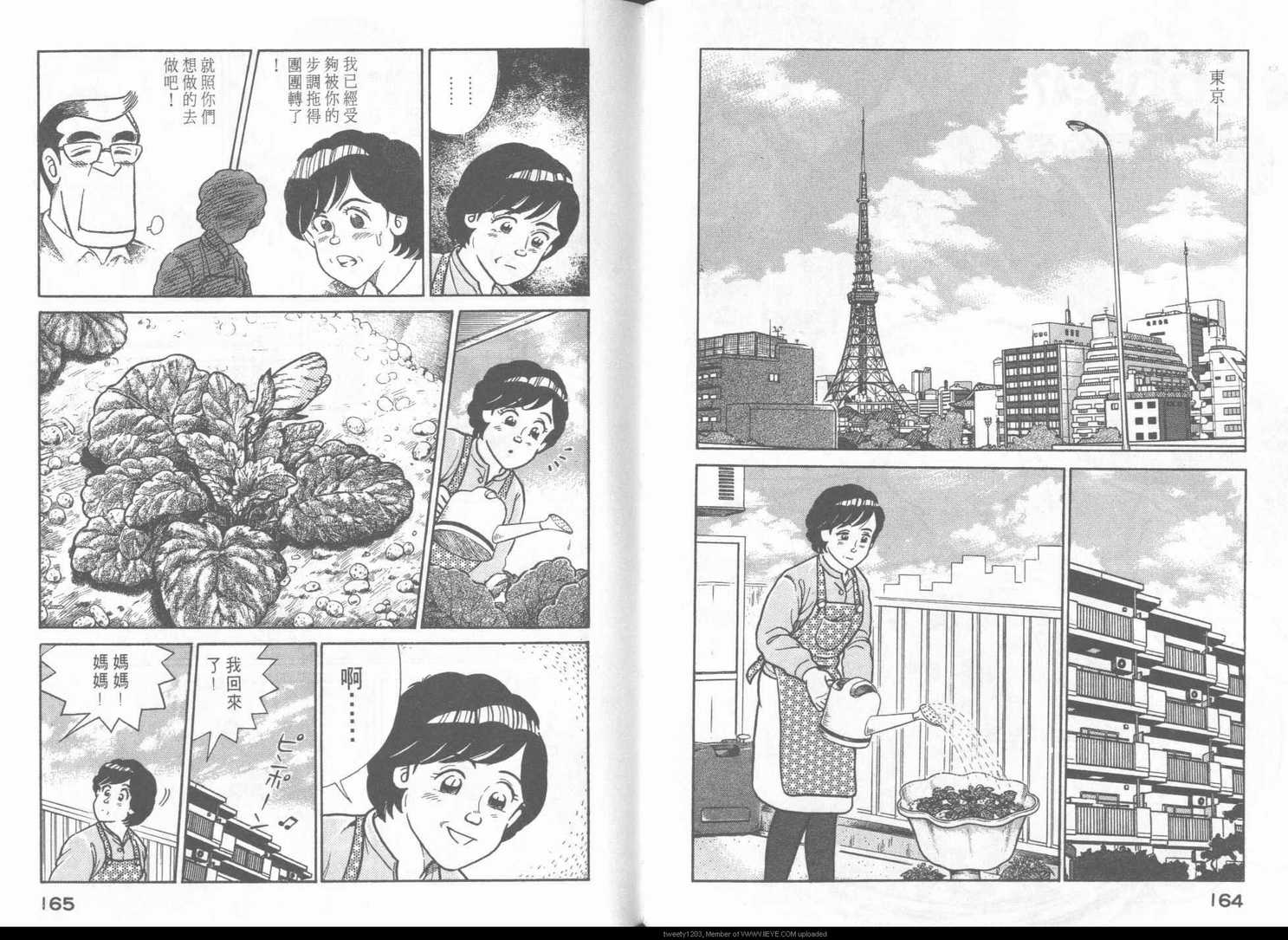 第 85 页