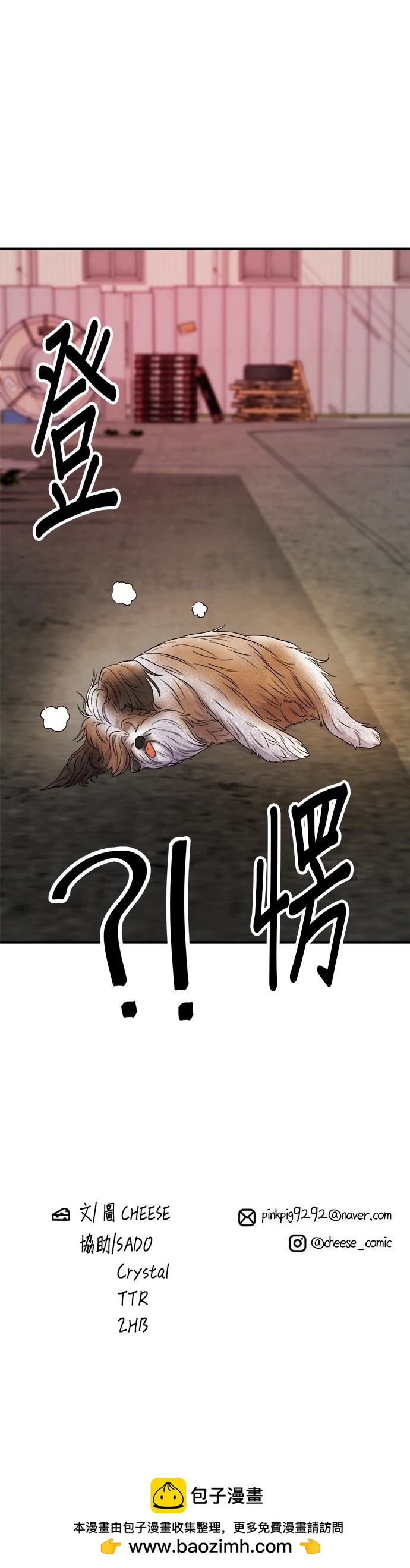 第 41 页