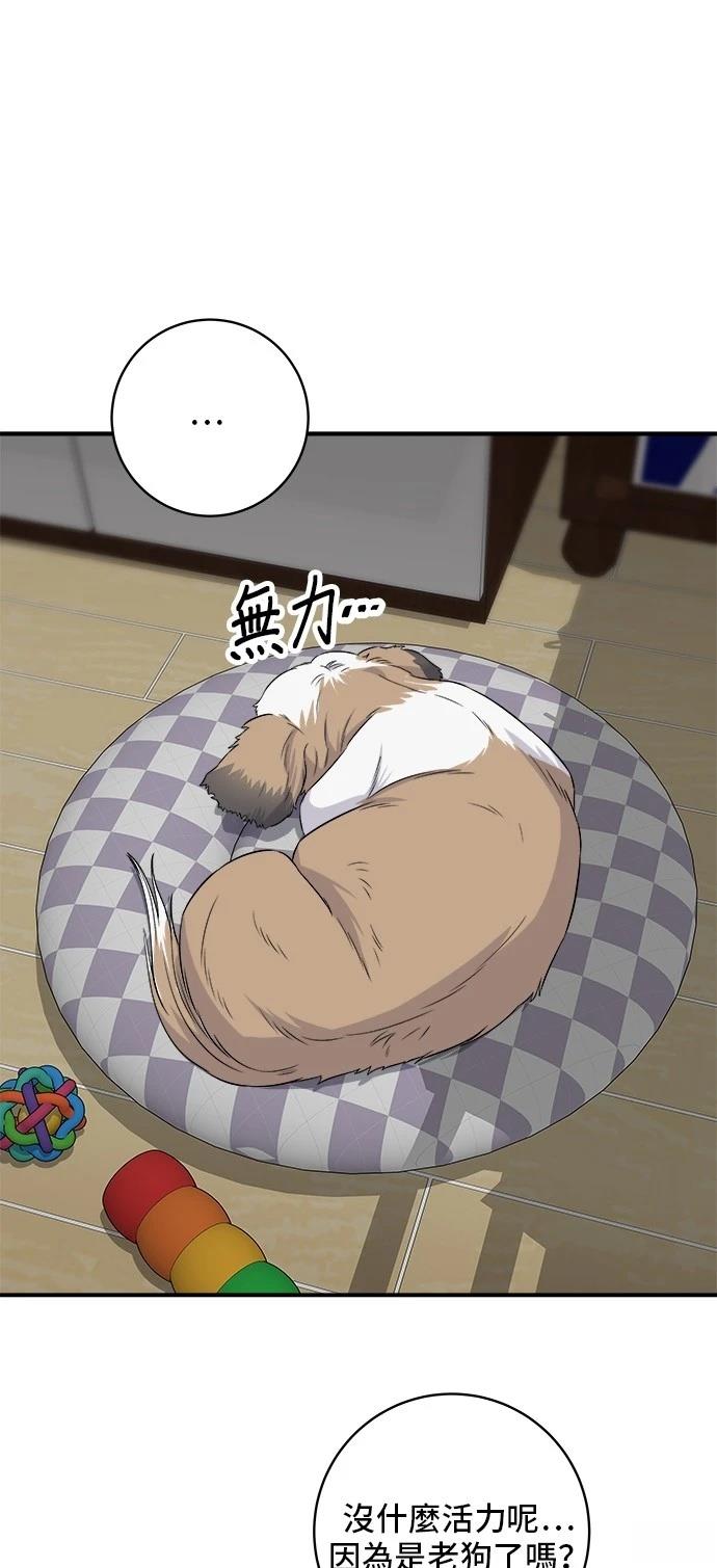 第 40 页