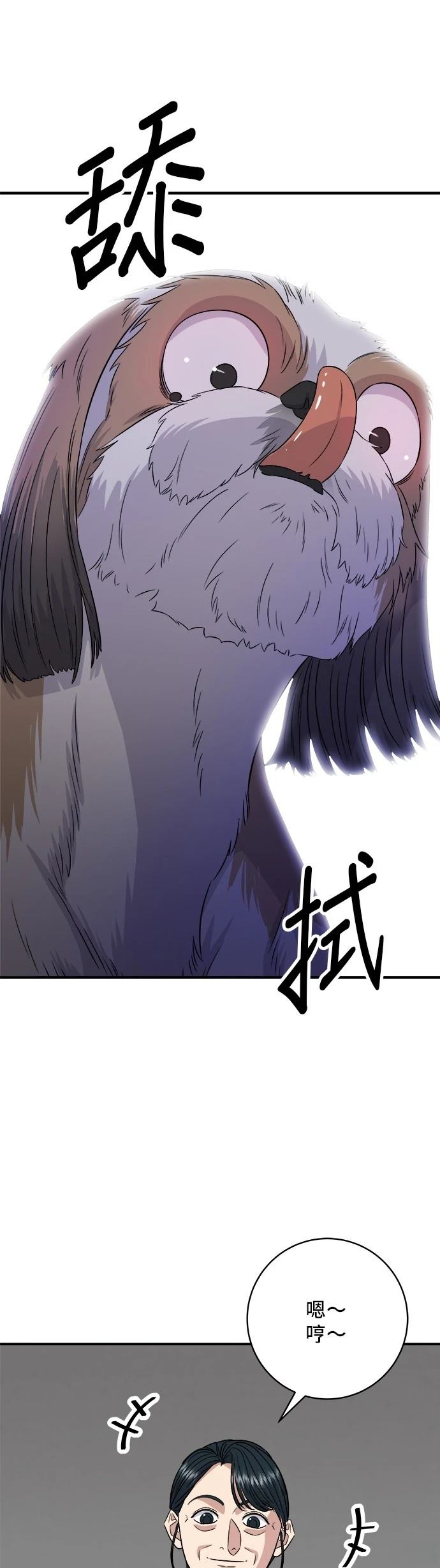 第 52 页
