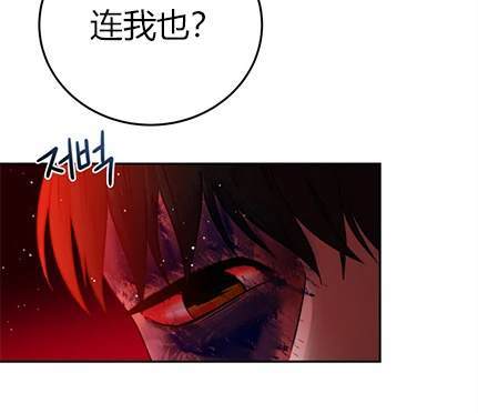 第 216 页