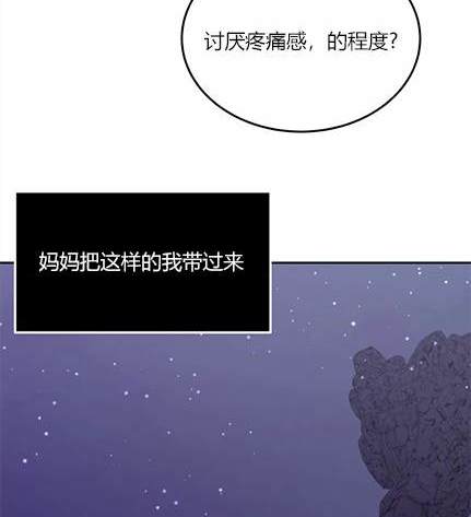 第 96 页