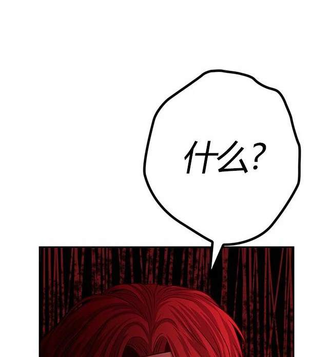 第 101 页