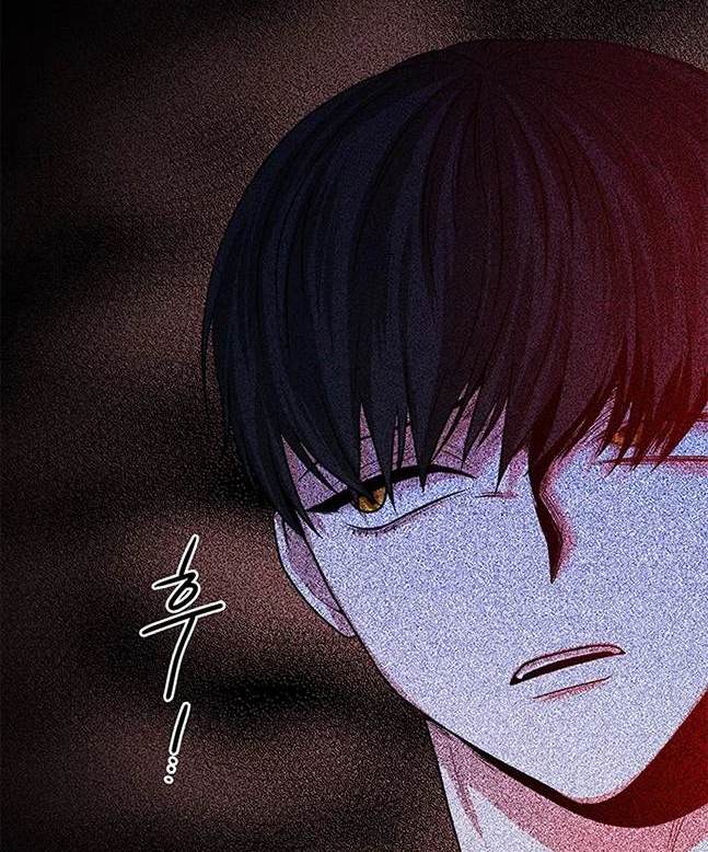 第 95 页