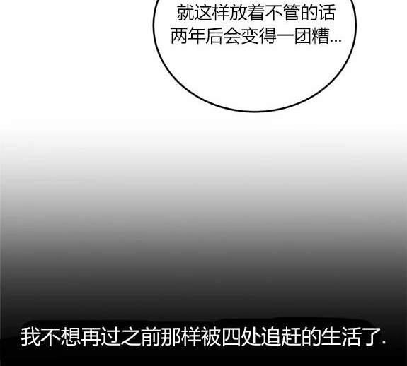 第 164 页